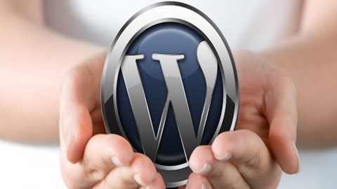 wordpress training